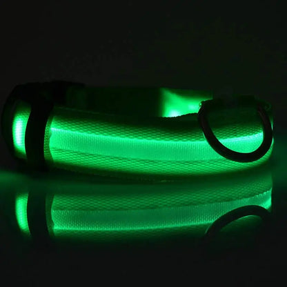 Pettorina luminosa per cani