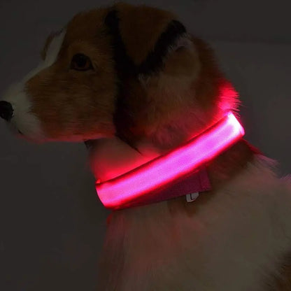 Pettorina luminosa per cani