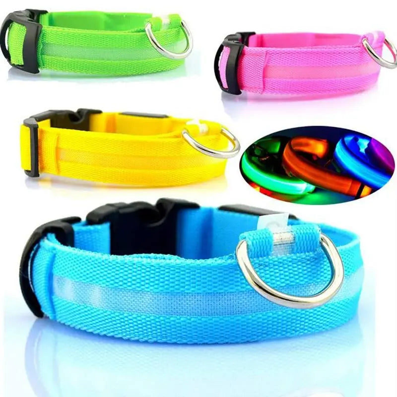 Pettorina luminosa per cani