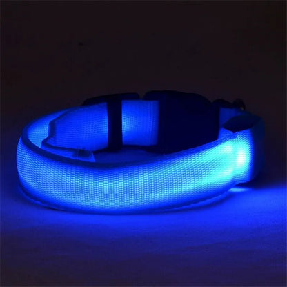 Pettorina luminosa per cani