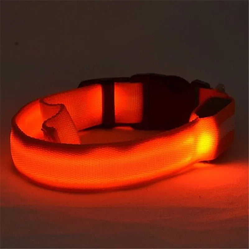 Pettorina luminosa per cani