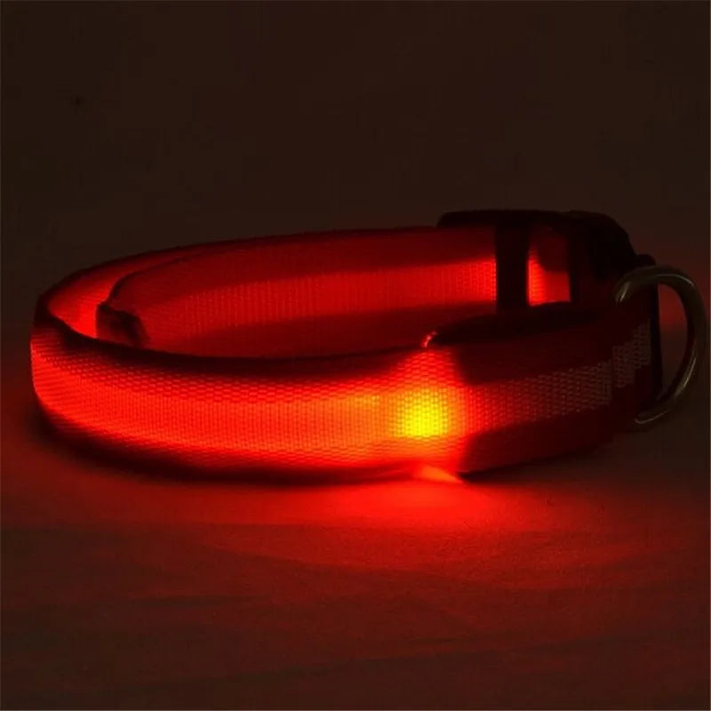 Pettorina luminosa per cani