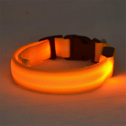 Pettorina luminosa per cani