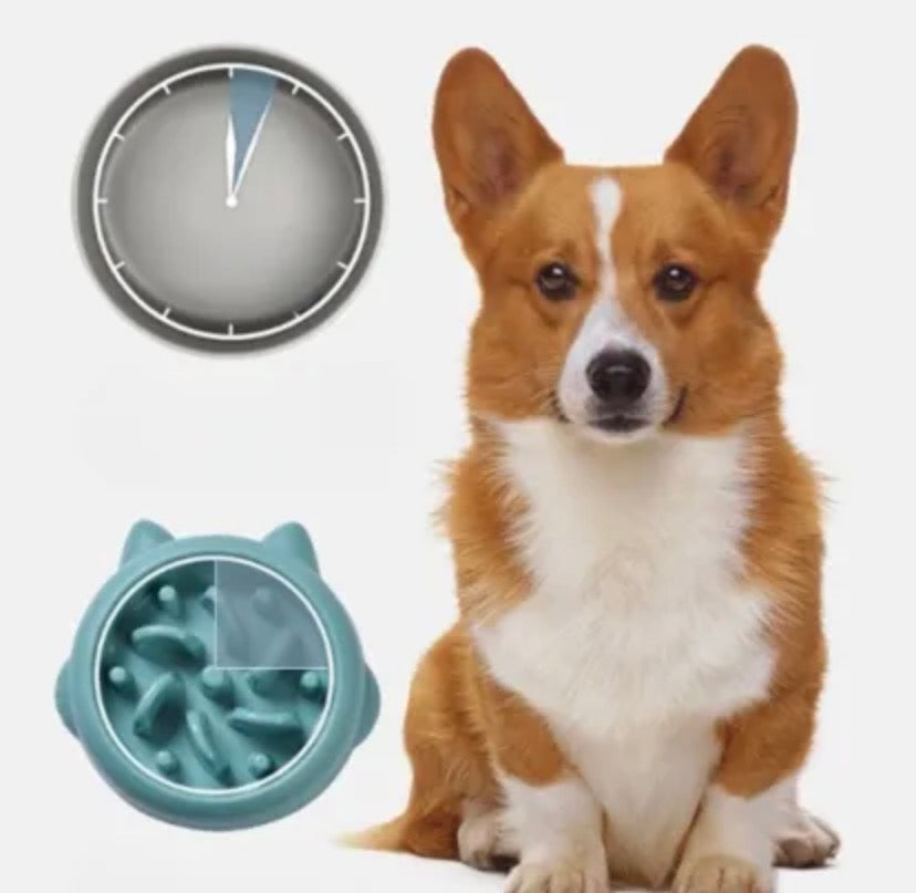Ciotola Slow Feeder Anti-Ingoio per Cani e Gatt