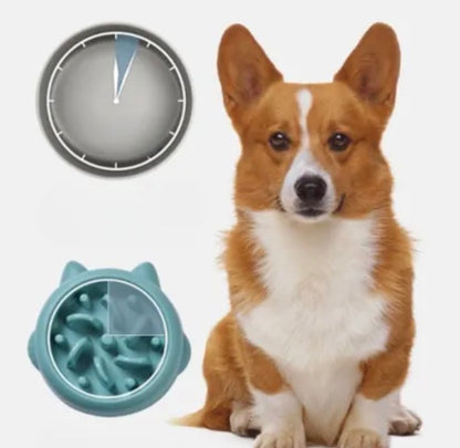 Ciotola Slow Feeder Anti-Ingoio per Cani e Gatt