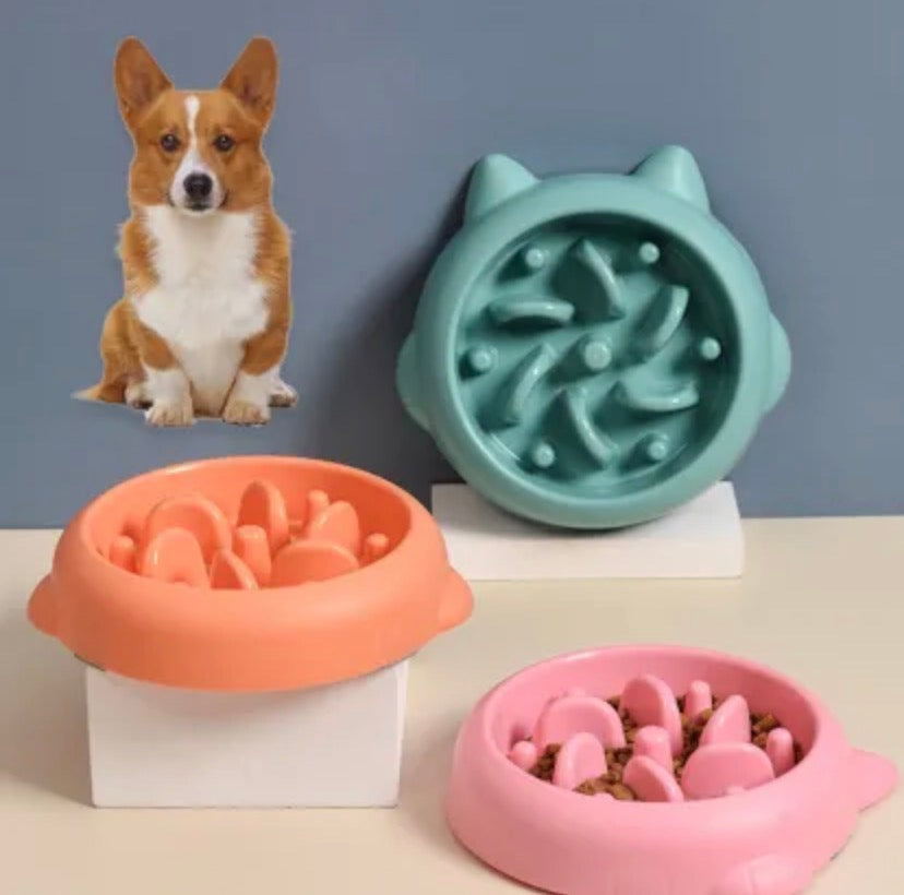 Ciotola Slow Feeder Anti-Ingoio per Cani e Gatt